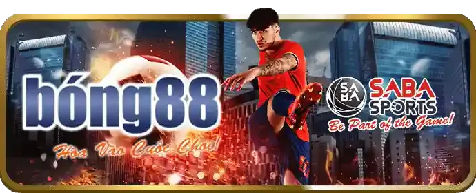 Cá cược Esports 28win